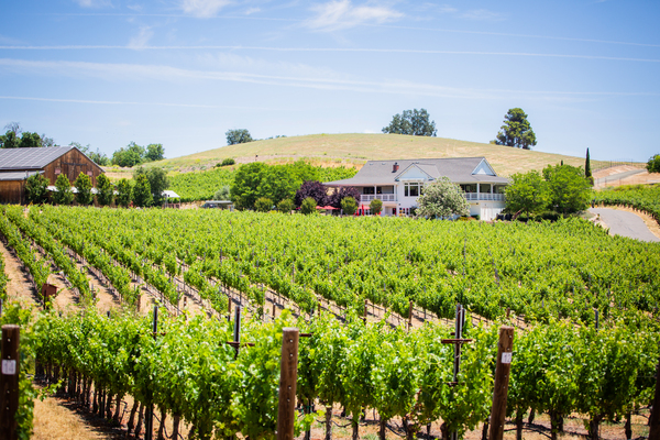 Parrish Family Vineyard