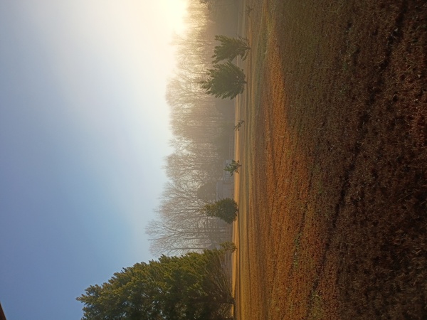 Field of Dreams Venue