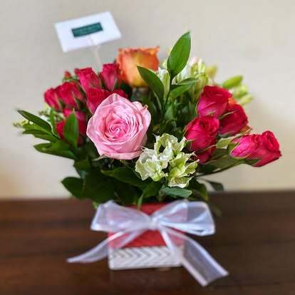 Aurora Flowers + More