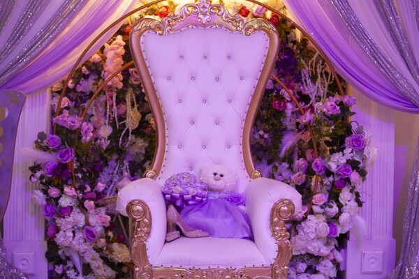 Bluecrest Events Services