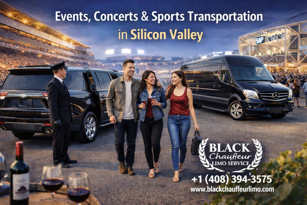 Black Chauffeur Limo Service