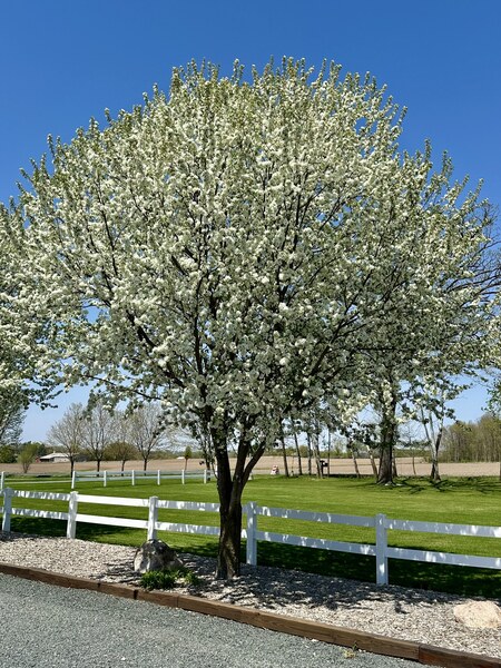 Blooming Barrel Event Center