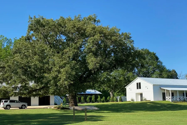South Laurel Farm