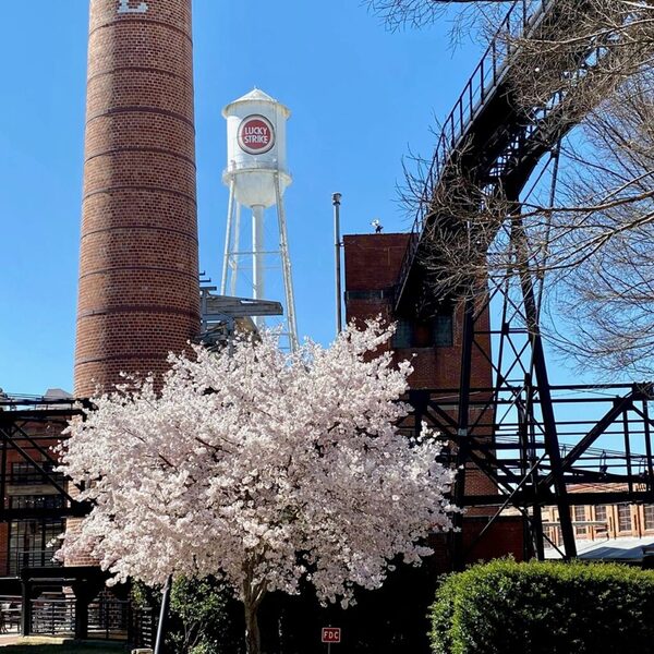 American Tobacco Campus
