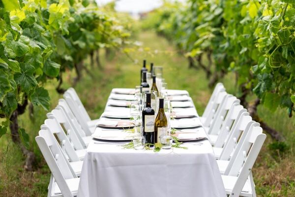 Vinoscenti Vineyards