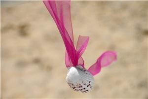 Baxter's Creative Events