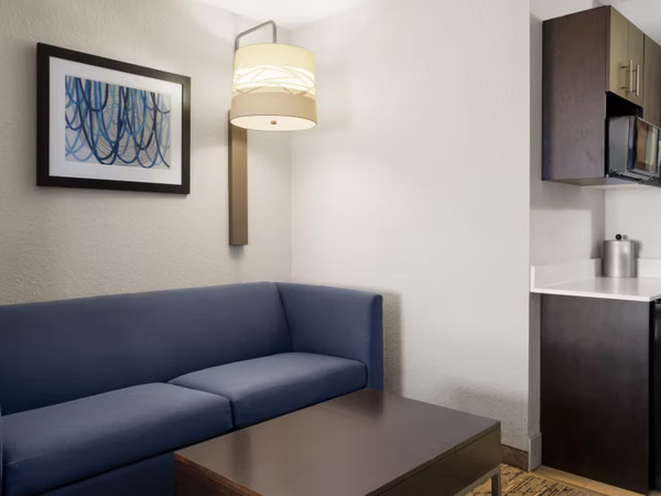 Holiday Inn Express & Suites St. Petersburg North I-275