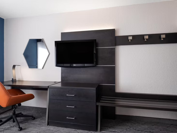 Holiday Inn Express & Suites St. Petersburg North I-275