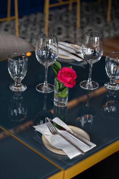 EFES TURKISH CUISINE