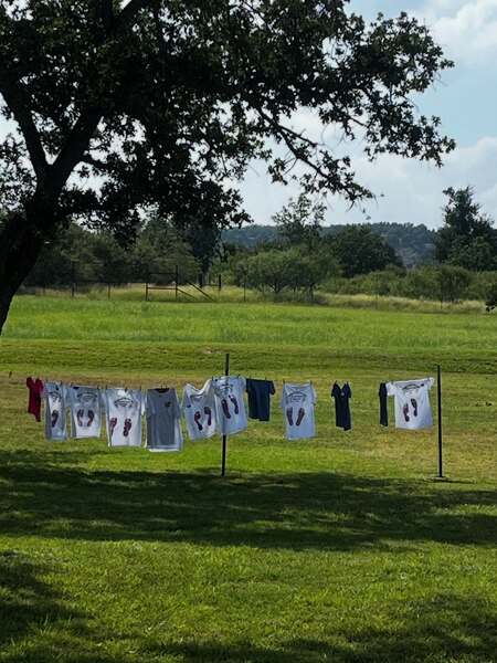 Prochnow Vineyard at Crabapple Creek