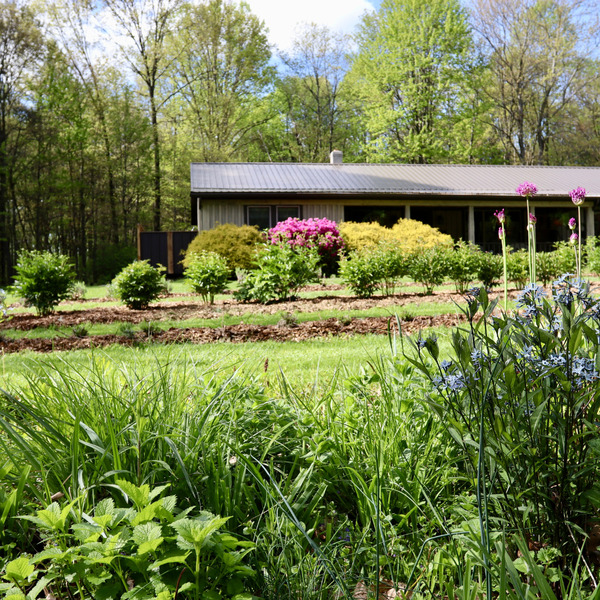 Forest & Flowers Retreat