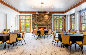 Mountain View & Fireside Lounge