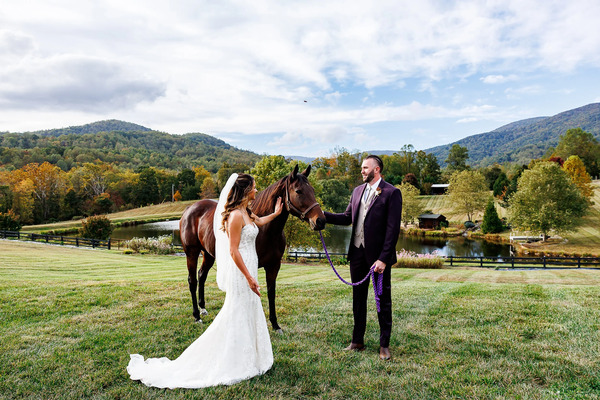 Cedarmere In The Blue Ridge