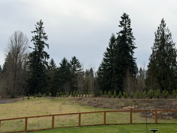 Lewis River Estate and Gardens