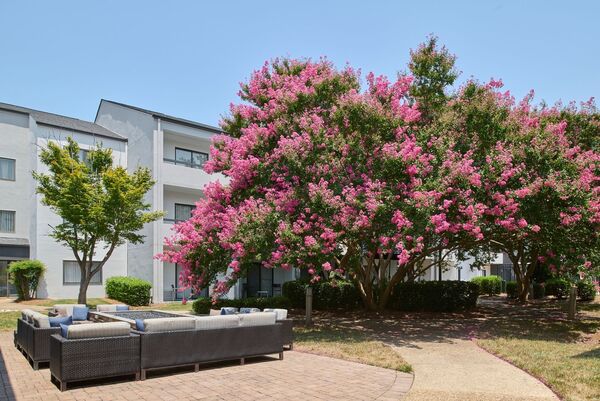 Courtyard Charlotte Arrowood