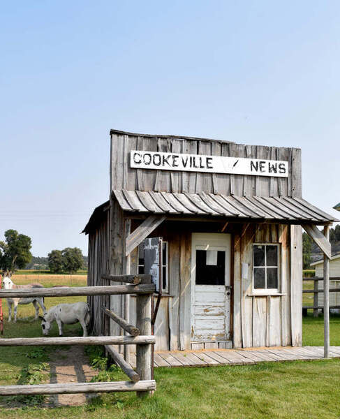 Oscar's Park Entertainment Complex