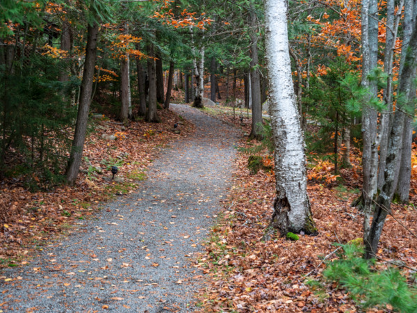 Minnowbrook Conference Center