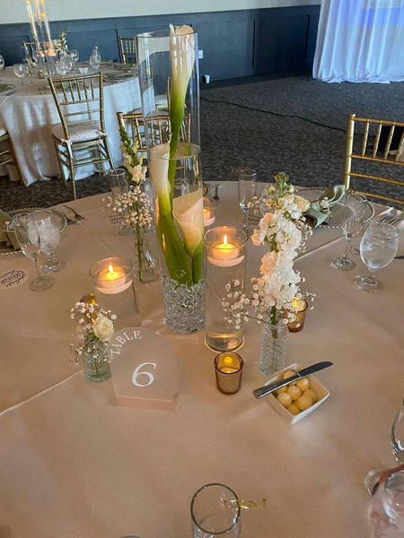 Sandhill Crane Golf Club