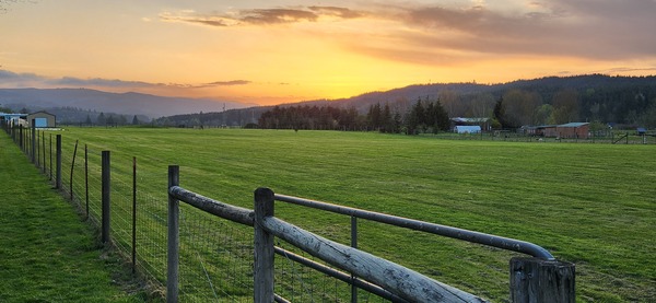 House of Light Global Nature Center & Alpaca Sanctuary