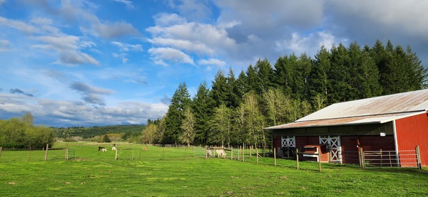 House of Light Global Nature Center & Alpaca Sanctuary