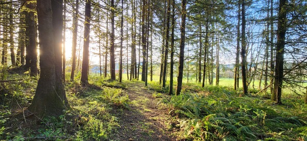 House of Light Global Nature Center & Alpaca Sanctuary