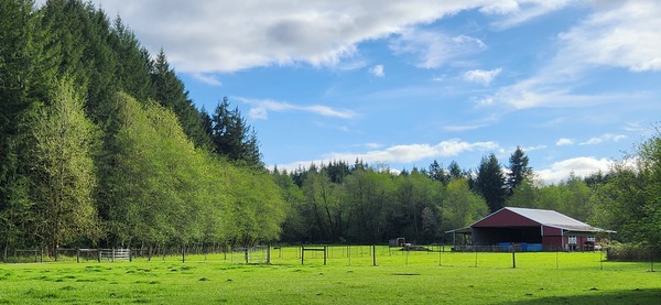 House of Light Global Nature Center & Alpaca Sanctuary