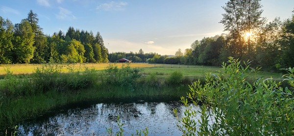 House of Light Global Nature Center & Alpaca Sanctuary