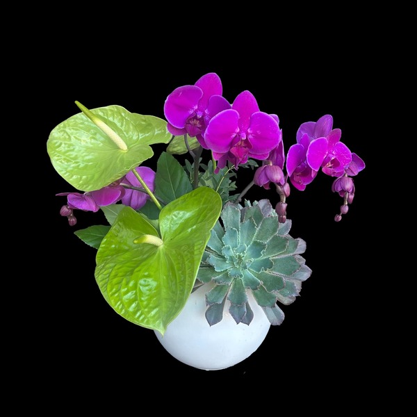 Daylily Floral Cascade