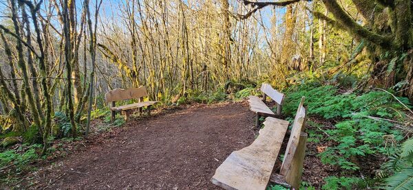 House of Light Global Nature Center & Alpaca Sanctuary