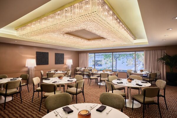 The Jay, Autograph Collection