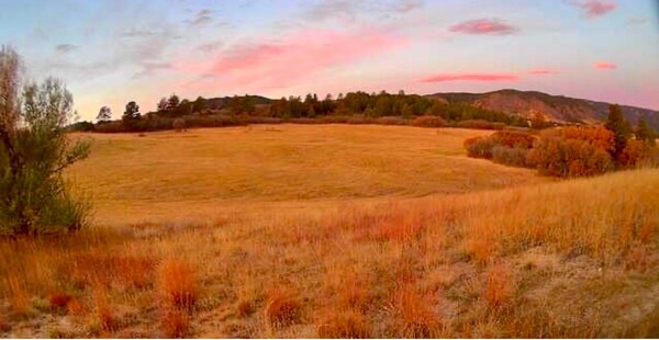 Whitetail Horse Ranch