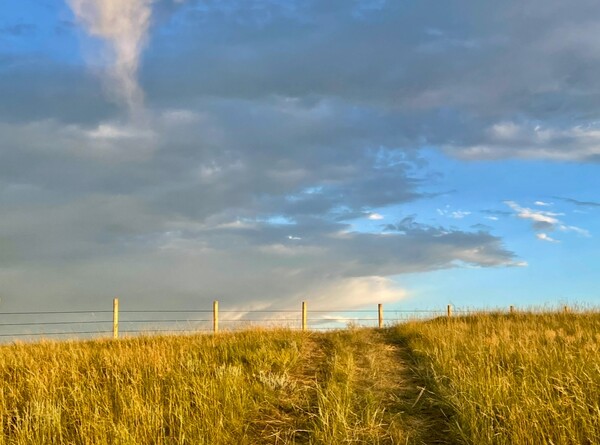 Whitetail Horse Ranch