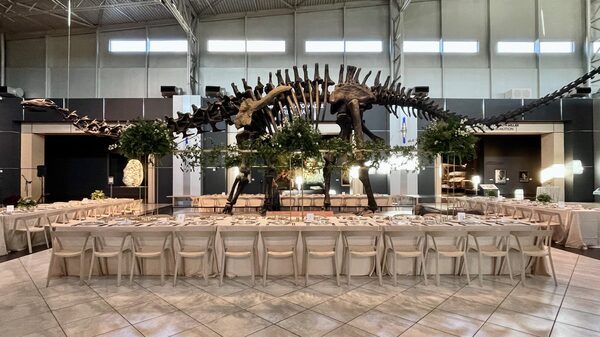 Tellus Science Museum