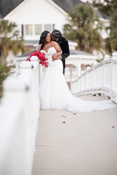 The Ivy on the Plains