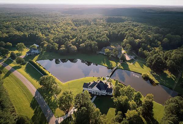 The Ivy on the Plains