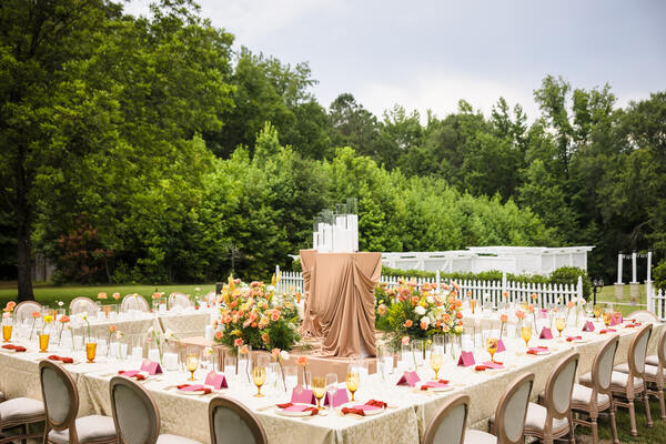 The Ivy on the Plains