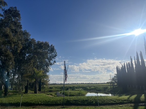 The Meadow Lark Ranch