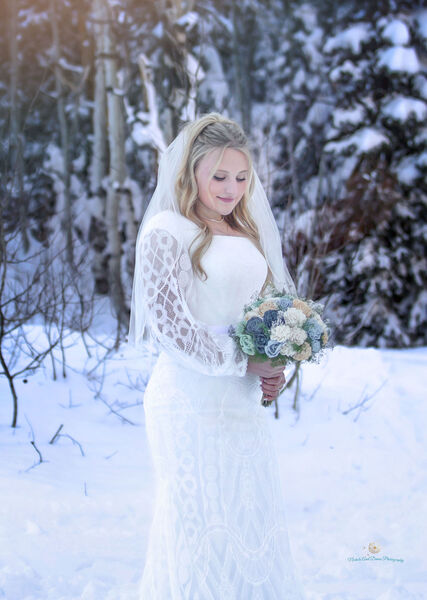 Nichols and Dimes Photography