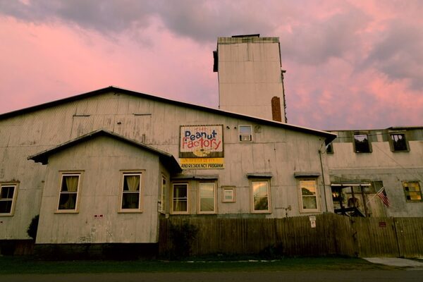 The Peanut Factory