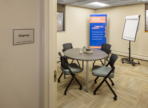 Meeting Room: Osprey