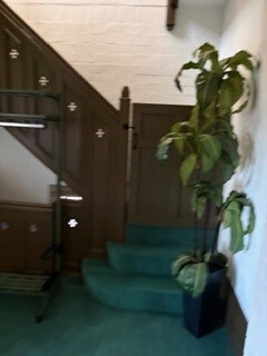 The Stella Solarium at The Sanctuary