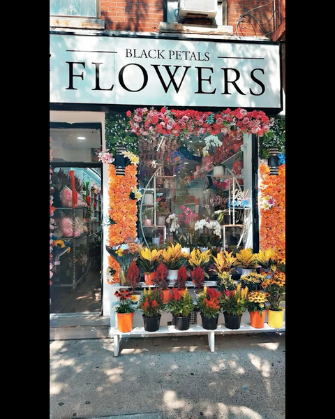 Black Petals Flowers