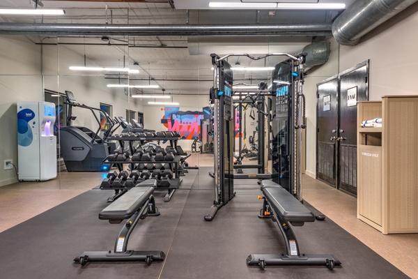 The District at Hogg Palace