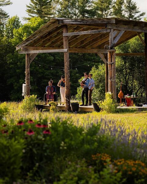 Wander at LongWoods Preserve