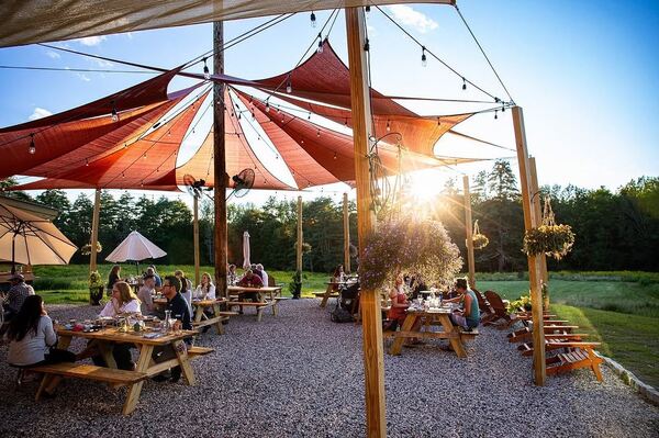 Wander at LongWoods Preserve
