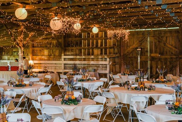 The Vermont Wedding Barn at Champlain Valley Alpacas