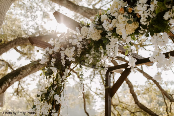 Living Sculpture Sanctuary