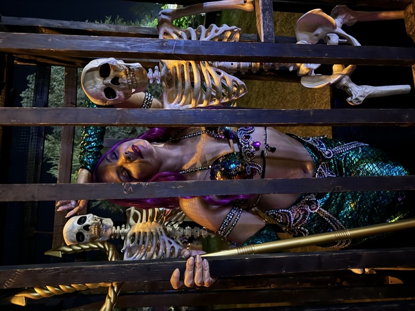 Carlyn De'Von BellyDance