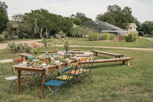 Live Oak Kitchen & Bar