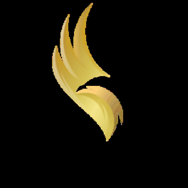 Dallas Limo & Black Car Service